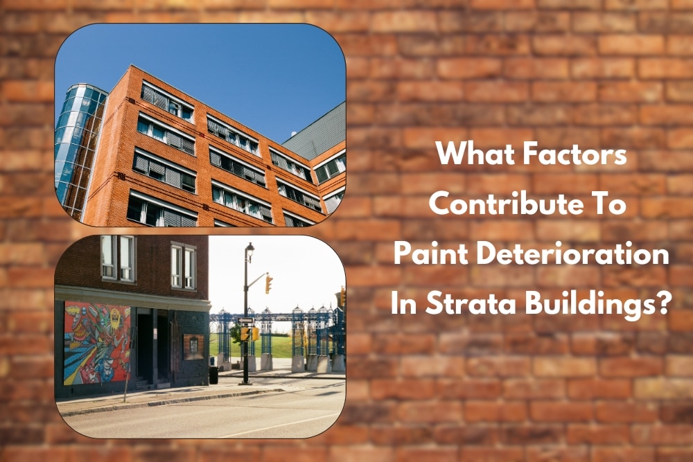 Image presents What Factors Contribute To Paint Deterioration In Strata Buildings